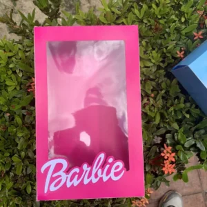 Cajita de Barbie con Visor